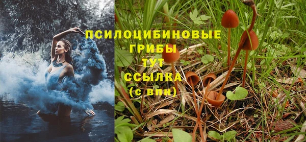 каннабис Надым