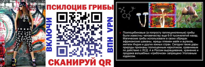 сайты даркнета состав  Тбилисская  Псилоцибиновые грибы прущие грибы  закладки  mega tor 